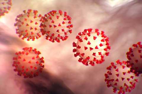 Coronavirus, 42 i nuovi casi in Puglia: positivo il 2% dei tamponi