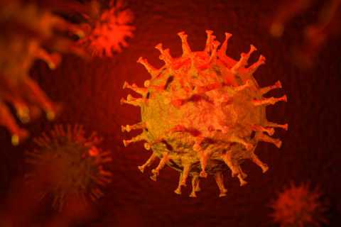 Coronavirus, in Puglia 4 nuovi casi: positivo lo 0,15% dei tamponi