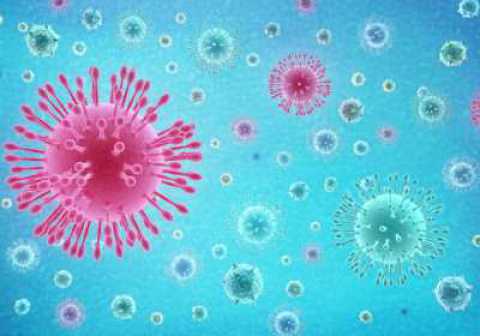 Coronavirus, in Puglia 26 nuovi casi: positivo l'1,43% dei tamponi