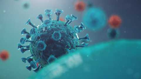 Coronavirus, in Puglia 4 nuovi casi: positivo lo 0,40% dei tamponi