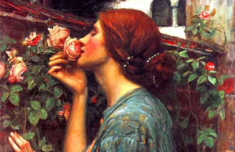 L'esteta: quell'implacabile voglia di ricercare a tutti i costi la Bellezza