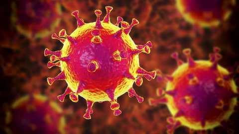 Coronavirus, 91 i nuovi casi in Puglia: i contagi salgono a 1803