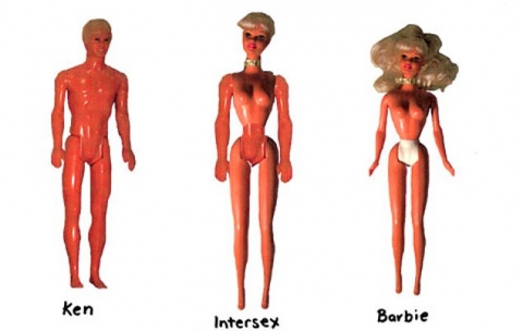 ''Intersex'', nascere sia maschi che femmine: �Costretti a mutilazioni genitali�