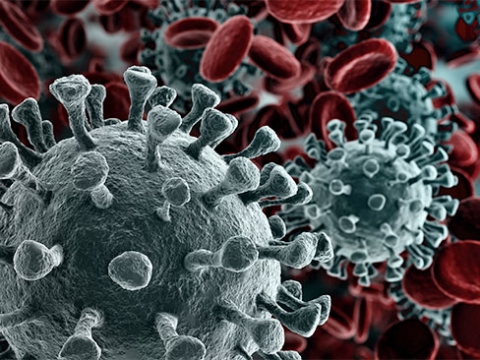 Coronavirus, in Puglia 11 nuovi casi: positivo lo 0,49% dei tamponi