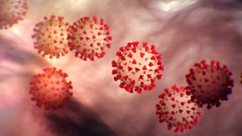 Coronavirus, in Puglia 87 nuovi casi: sale a 407 il numero dei contagiati