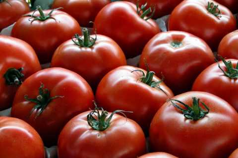 La tecnologia va incontro all'agricoltura: nei campi arriva il ''fruttometro''