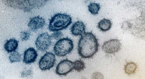 Coronavirus, in Puglia 53 nuovi casi: positivo il 4,6% dei tamponi