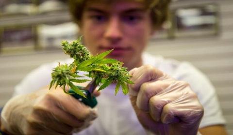 La storia di Andrea il