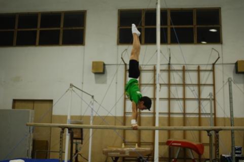 La ginnastica a Bari, buoni successi �ma federazioni del Sud trascurate�