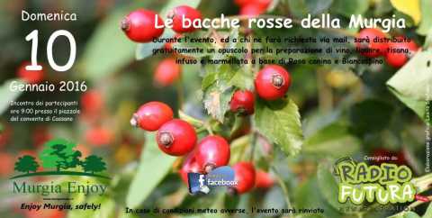 Cassano, ''Le bacche rosse della Murgia'': escursione con Murgia Enjoy