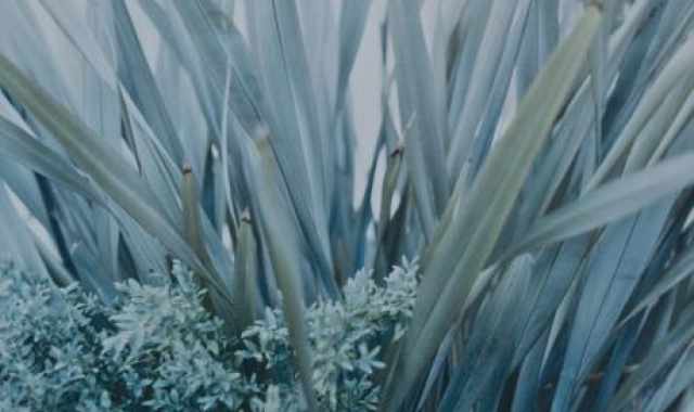 Bari ''The Quality of Scale'': mostra personale di Giusy Pirrotta