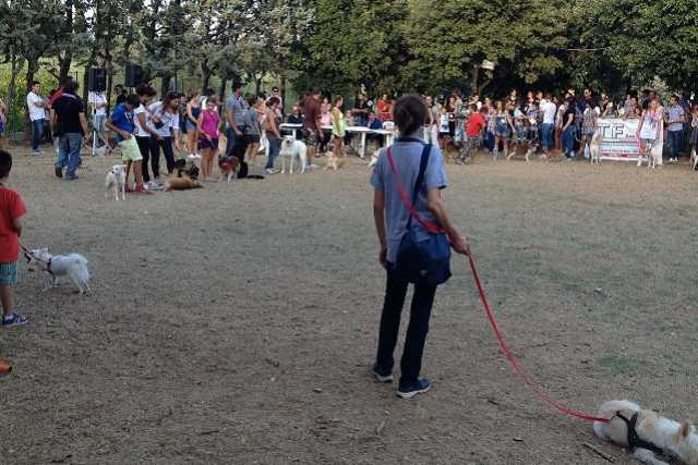 Palo del Colle, ''Festa del cane'' tra divertimento e riflessione