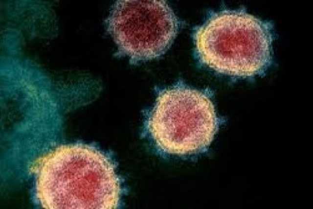 Coronavirus, 82 i nuovi casi in Puglia: positivo il 3,8% dei tamponi