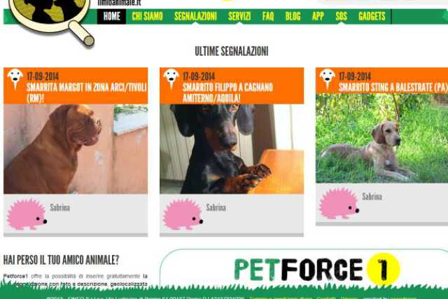 Animale disperso? Basta con volantini e manifesti: oggi ci sono app e gruppi fb 