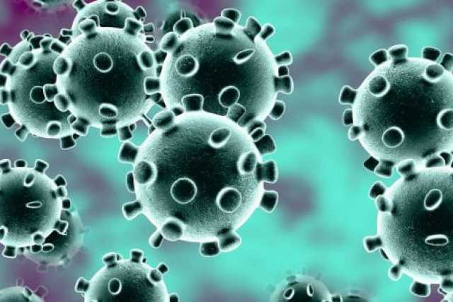 Coronavirus, in Puglia un solo nuovo caso: positivo lo 0,04% dei tamponi