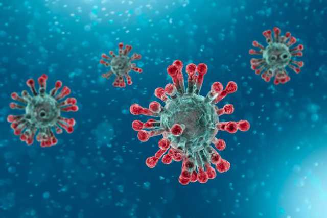 Coronavirus, in Puglia 25 nuovi casi: sale a 90 il numero dei contagiati