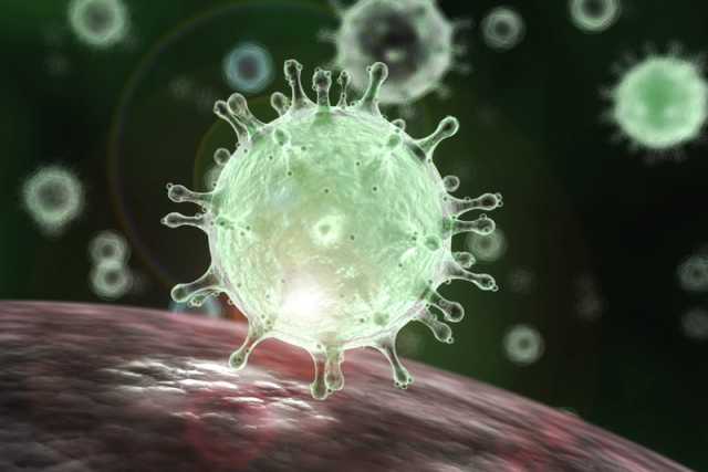Coronavirus, in Puglia 27 nuovi contagi: positivo l'1,47% dei tamponi