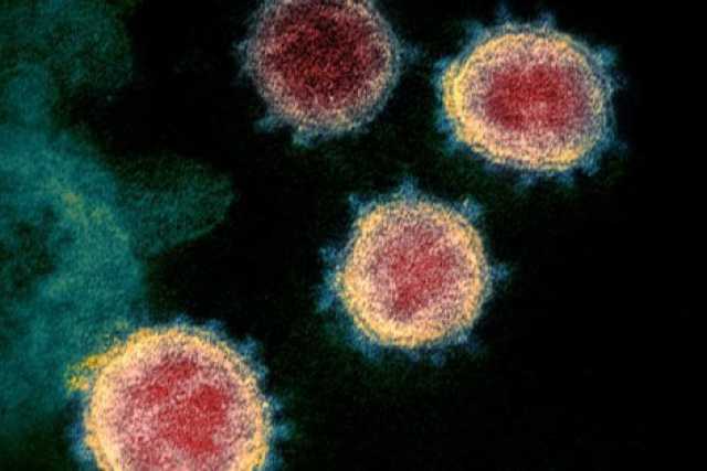 Coronavirus, 70 nuovi casi: positivo il 6,4% dei tamponi
