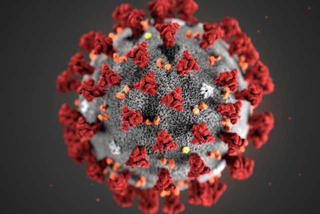 Coronavirus, in Puglia 55 nuovi casi: positivo il 3,1% dei tamponi 