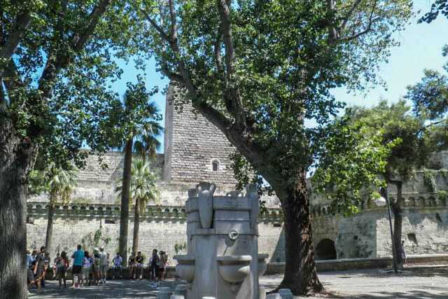 Bari, alberi senza tutela: si attende il censimento dei ''monumentali''