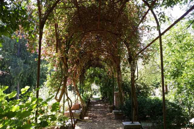 Stagni, boschetti e piante rare: � il museo orto botanico del Campus 