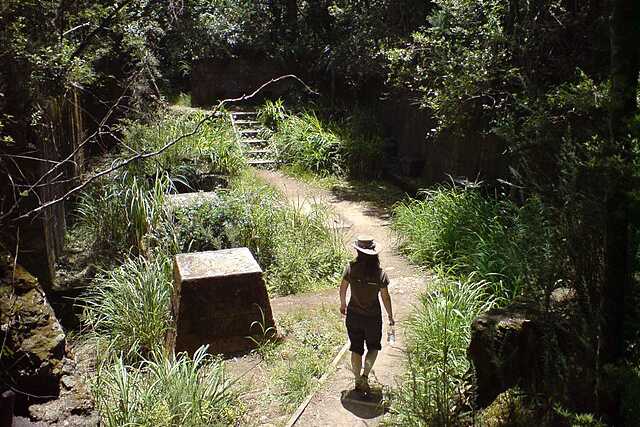 Lo spirito avventuroso di Indiana Jones negli emuli digitali