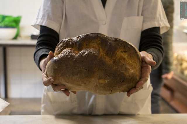 Il mitico pane di Carbonara: �Lo fanno in pochi e non � pi� quello di un tempo�