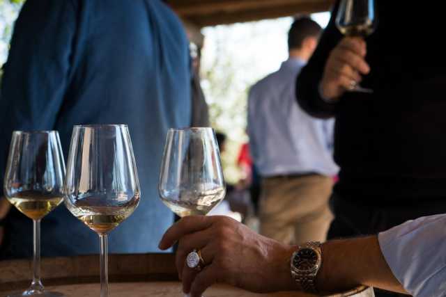 Gli assaggiatori, coloro che valutano il vino: �Ma non confondeteci con i sommelier�