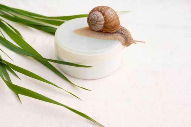 La crema alla bava di lumaca: quando � necessario un prodotto del genere?