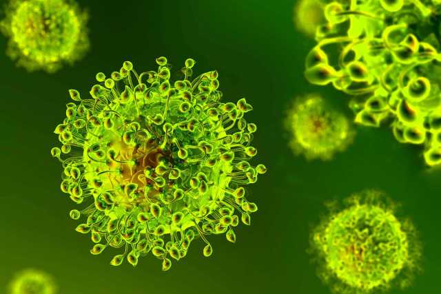 Coronavirus, in Puglia 120 nuovi casi: sale a 2.634 il numero dei contagiati