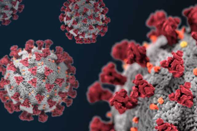 Coronavirus, in Puglia 4 nuovi casi: positivo lo 0,21% dei tamponi