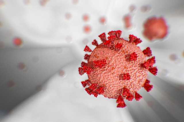 Coronavirus, in Puglia 4 nuovi casi: positivo lo 0,17% dei tamponi