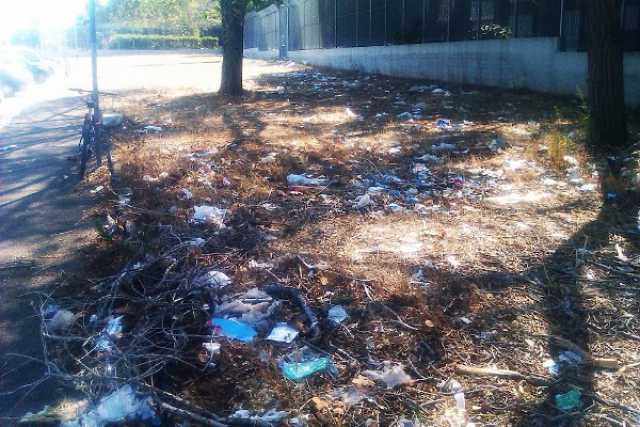 ''Verde in Comune'', sono passati 10 mesi e il progetto non decolla