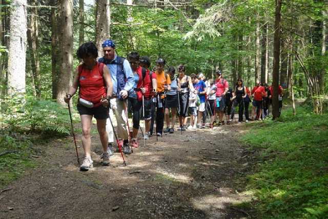 Il Nordic Walking: camminare nella natura simulando lo sci