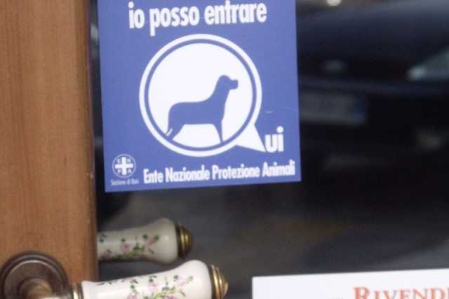 I cani? A Bari possono entrare in uffici e negozi, ma nessuno lo sa