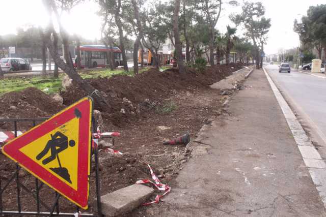 Japigia, per fare la pista ciclabile si abbattono gli alberi
