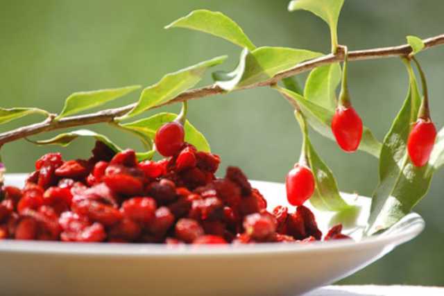 Alimentazione, i miti da sfatare: �Mangiate ciliegie non bacche di goji�