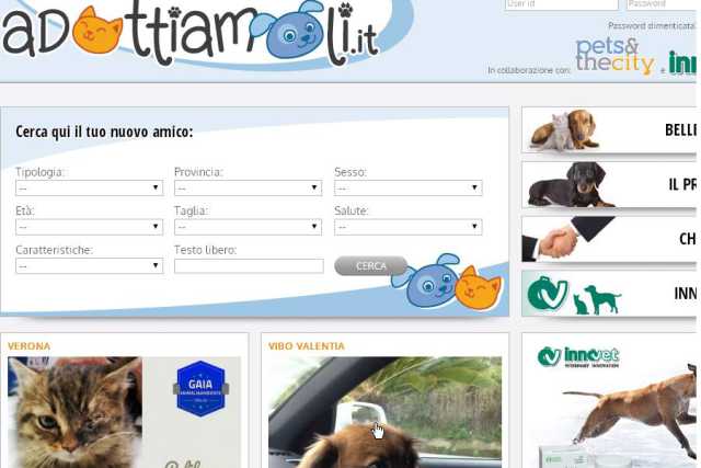 ''Adottiamoli'': su internet scegli un randagio per taglia, sesso ed et�