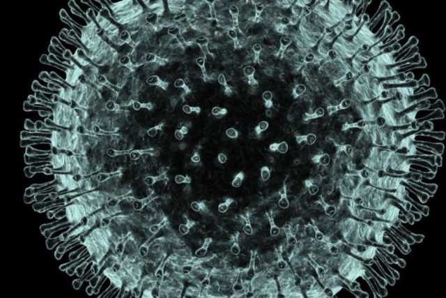 Coronavirus, in Puglia 91 nuovi casi: sale a 1549 il numero dei contagiati