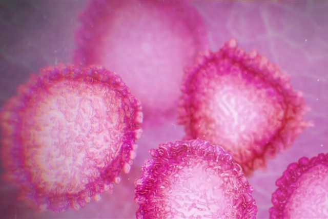 Coronavirus, in Puglia 49 nuovi casi: positivo il 2,64% dei tamponi