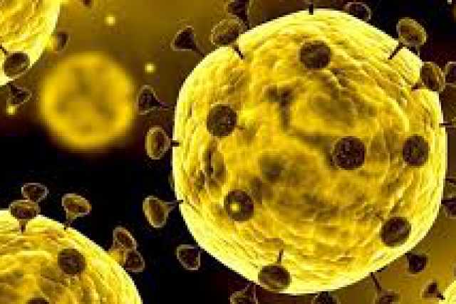 Coronavirus, in Puglia 10 nuovi casi: positivo l'1,01% dei tamponi