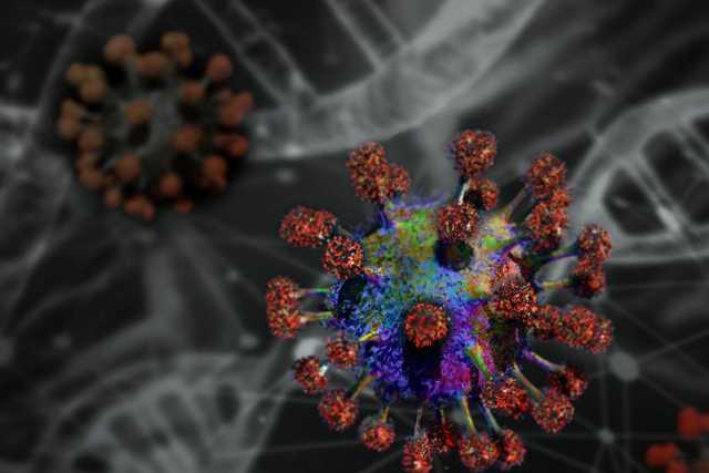 Coronavirus, in Puglia 30 nuovi casi: positivo l'1,56% dei tamponi