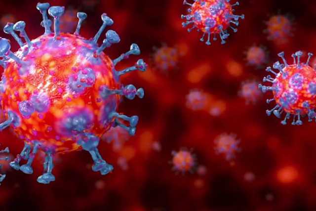 Coronavirus, in Puglia 74 nuovi casi: positivo il 4,51% dei tamponi