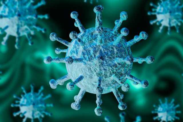 Coronavirus, in Puglia 8 nuovi casi: positivo lo 0,92% dei tamponi