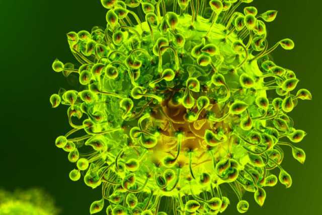 Coronavirus, in Puglia 11 nuovi casi: positivo lo 0,60% dei tamponi