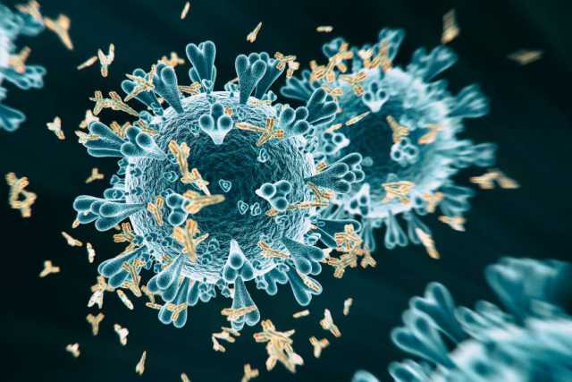 Coronavirus, in Puglia 10 nuovi casi: positivo lo 0,51% dei tamponi