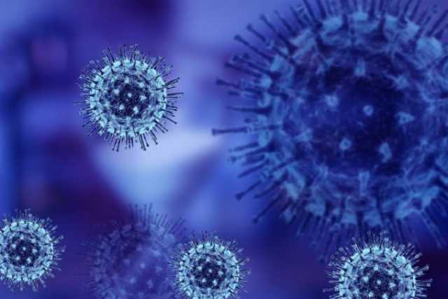 Coronavirus, in Puglia 2 nuovi casi: positivo lo 0,09% dei tamponi