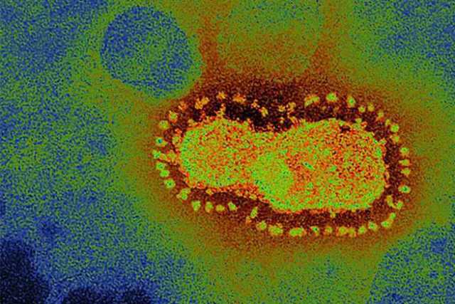 Coronavirus, in Puglia 4 nuovi casi: positivo lo 0,15% dei tamponi