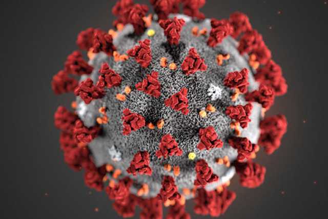 Coronavirus, in Puglia 95 nuovi casi: positivo il 5.75% dei tamponi