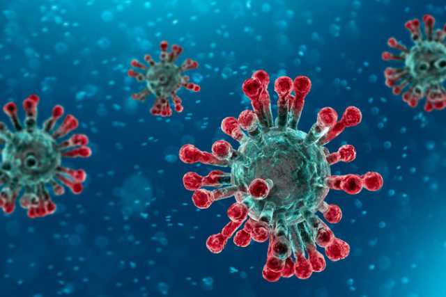 Coronavirus, in Puglia 27 nuovi casi: positivo l'1,53% dei tamponi